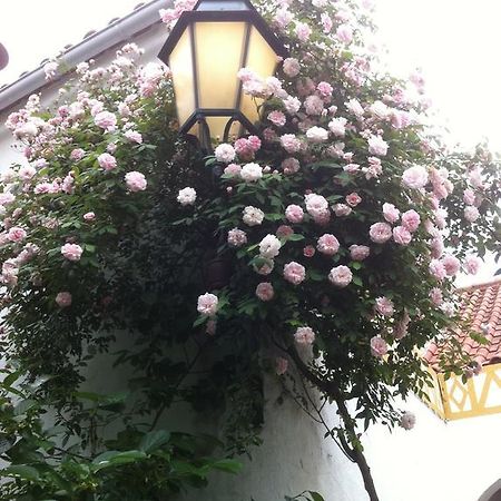 Patio Das Flores Ферейра до Алентежу Екстериор снимка