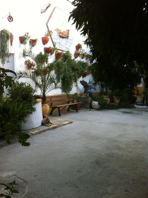 Patio Das Flores Ферейра до Алентежу Екстериор снимка
