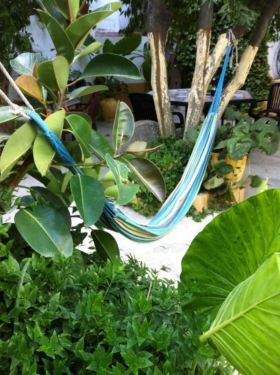 Patio Das Flores Ферейра до Алентежу Екстериор снимка