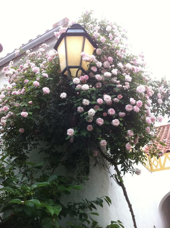 Patio Das Flores Ферейра до Алентежу Екстериор снимка