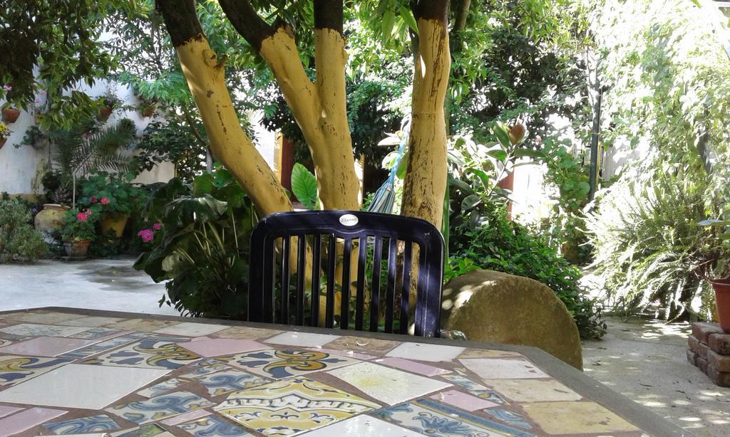 Patio Das Flores Ферейра до Алентежу Екстериор снимка