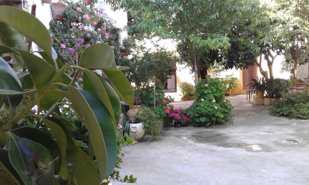 Patio Das Flores Ферейра до Алентежу Екстериор снимка